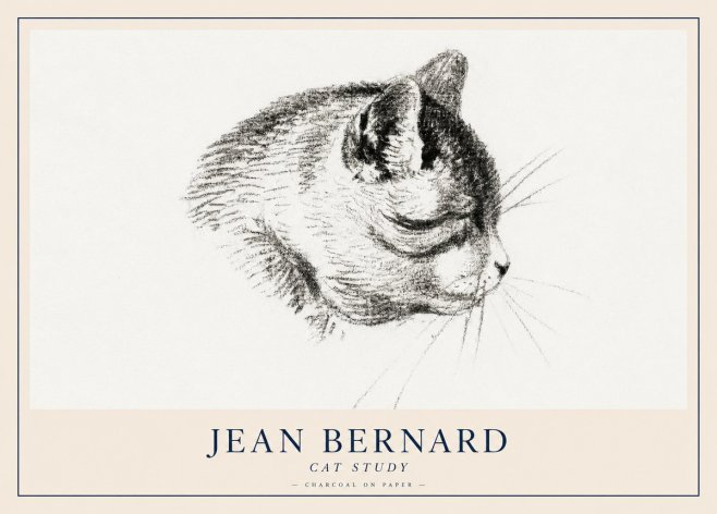 Jean Bernard Cat Study IV No2 - Poster