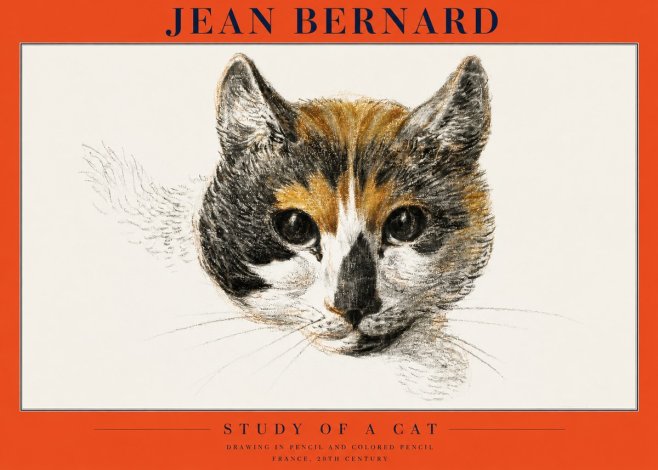 Jean Bernard Study of a Cat II No2 - Poster