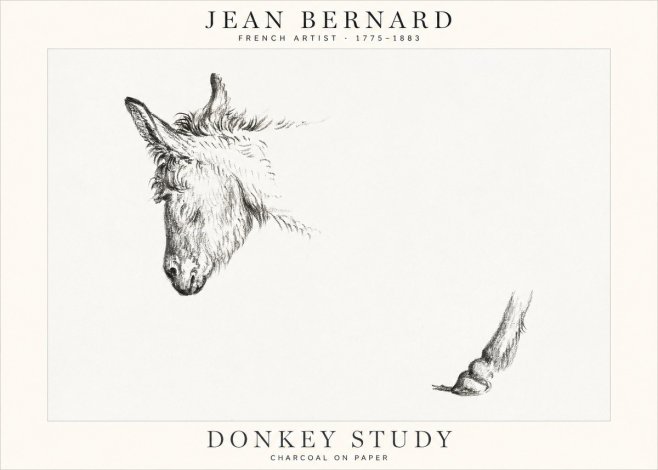 Jean Bernard Study of a Donkey II No2 - Poster