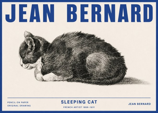 Jean Bernard Sleeping Cat VII No4 - Poster