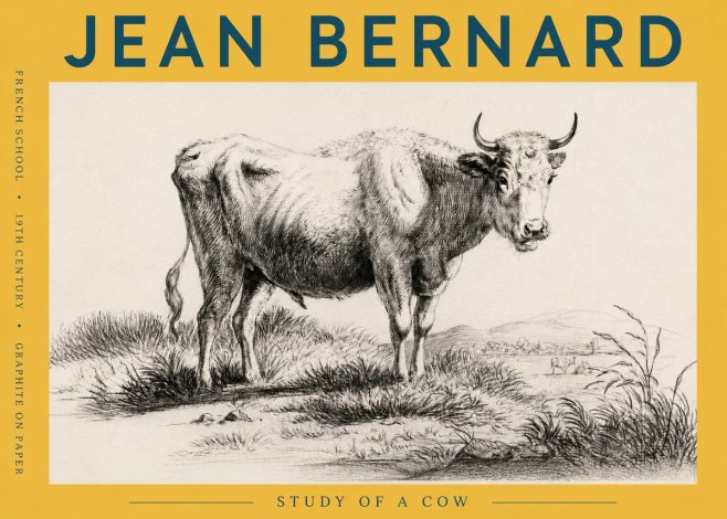 Jean Bernard Study of a Cow XVI No6 - Poster