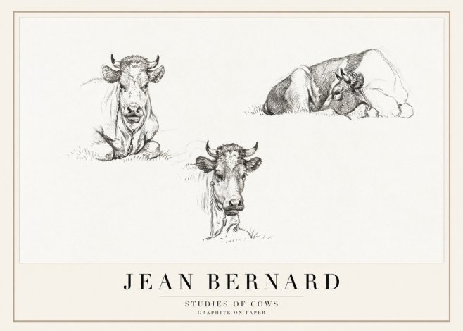 Jean Bernard Studies of Cows II No1 - Poster