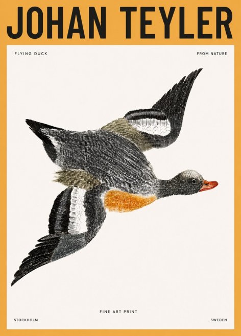 Johan Teyler Flying Duck No3 - Poster