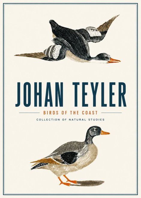Johan Teyler Birds of the Coast No4 - Poster