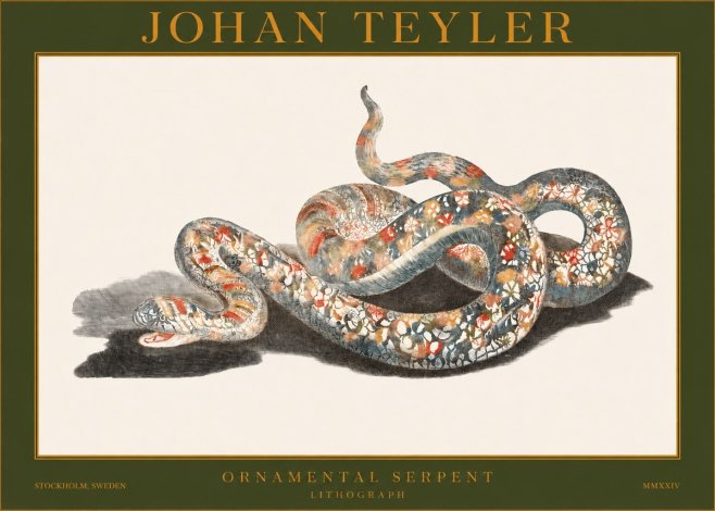 Johan Teyler Ornamental Serpent No1 - Poster