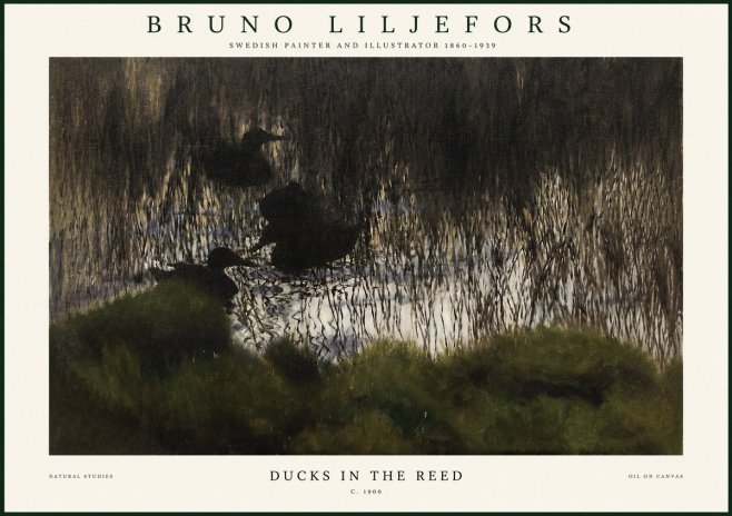 Bruno Liljefors Ducks in the Reed No1 - Poster