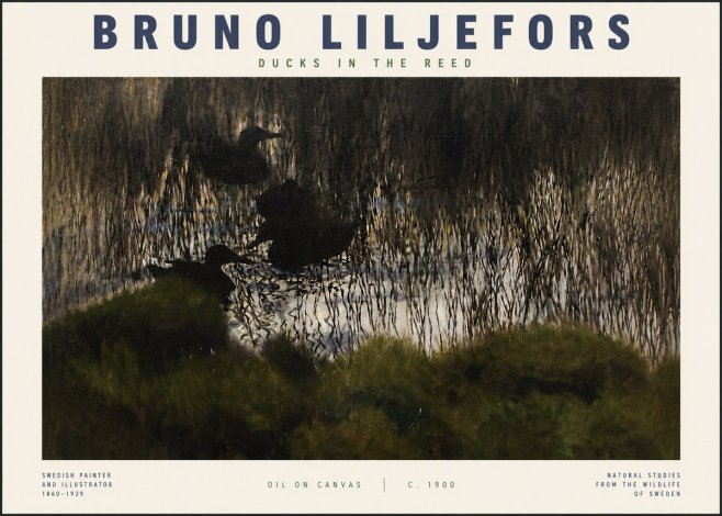 Bruno Liljefors Ducks in the Reed No4 - Poster