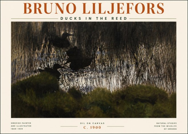 Bruno Liljefors Ducks in the Reed No5 - Poster