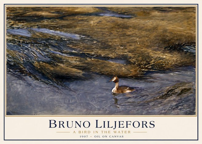 Bruno Liljefors A Bird in the Water No3 - Poster