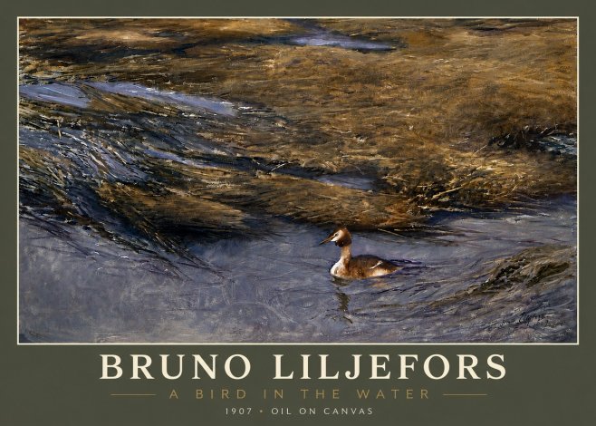 Bruno Liljefors A Bird in the Water No4 - Poster