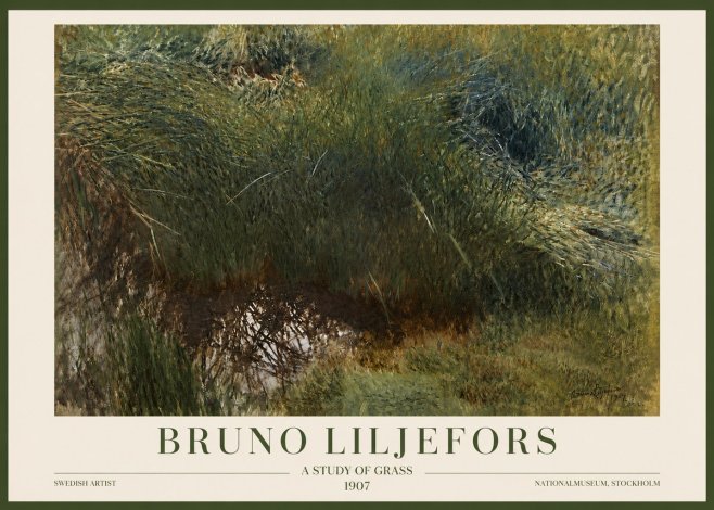Bruno Liljefors A Study of Grass No3 - Poster