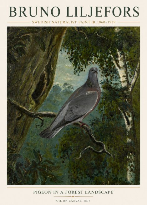Bruno Liljefors Pigeon in a Forest Landscape No6 - Poster