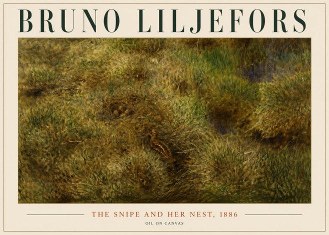 Bruno Liljefors The Snipe and Her Nest No6 - Poster