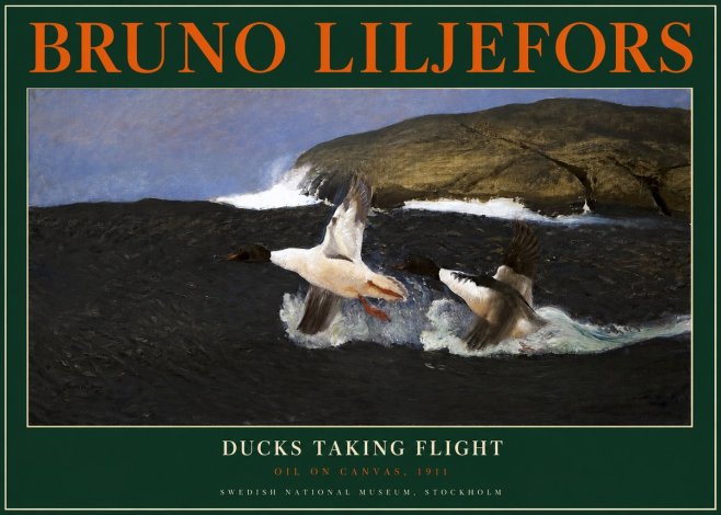 Bruno Liljefors Ducks Taking Flight No2 - Poster