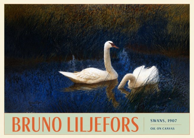 Bruno Liljefors Swans, 1907 No3 - Poster