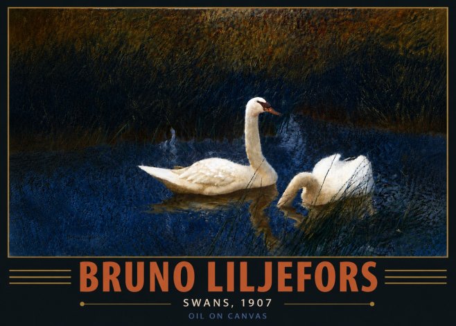 Bruno Liljefors Swans, 1907 No6 - Poster