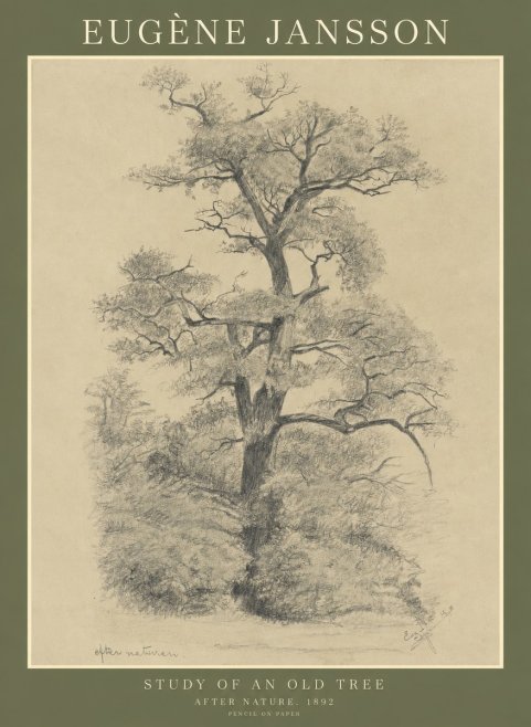 Eugène Jansson Study of an Old Tree No1 - Poster