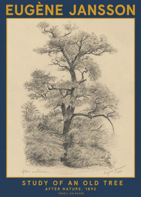 Eugène Jansson Study of an Old Tree No2 - Poster