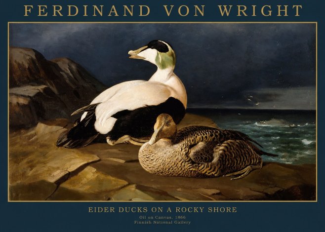 Ferdinand von Wright Eiders on a Rocky Shore No2 - Poster