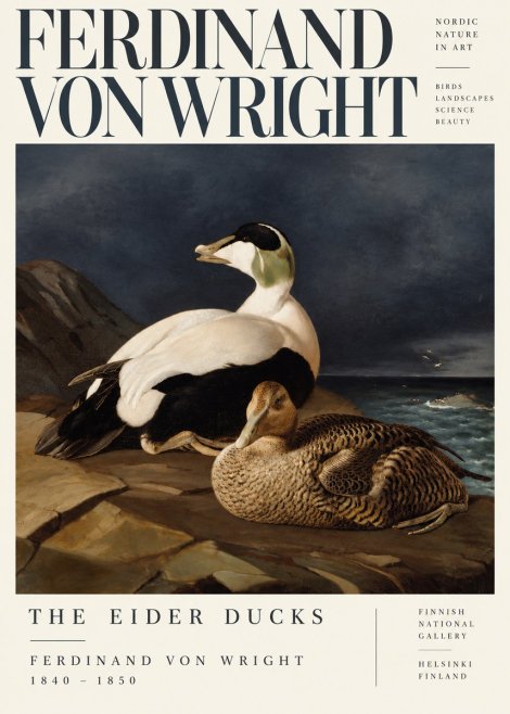 Ferdinand von Wright Eiders on a Rocky Shore No5 - Poster