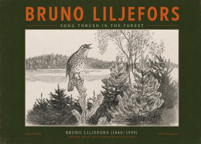 Bruno Liljefors Song Thrush in the Forest No2 - Poster