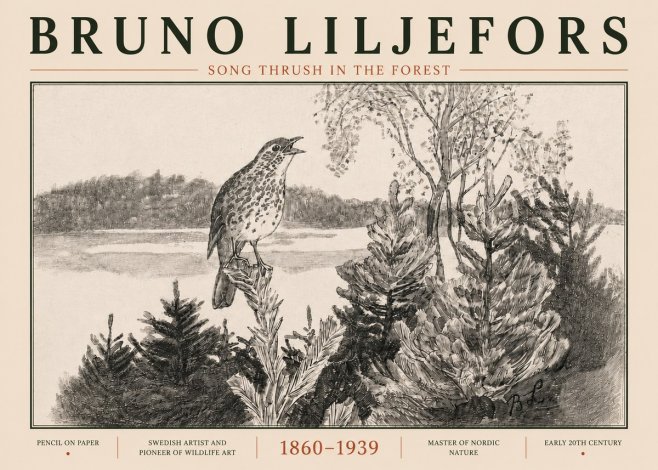 Bruno Liljefors Song Thrush in the Forest No5 - Poster