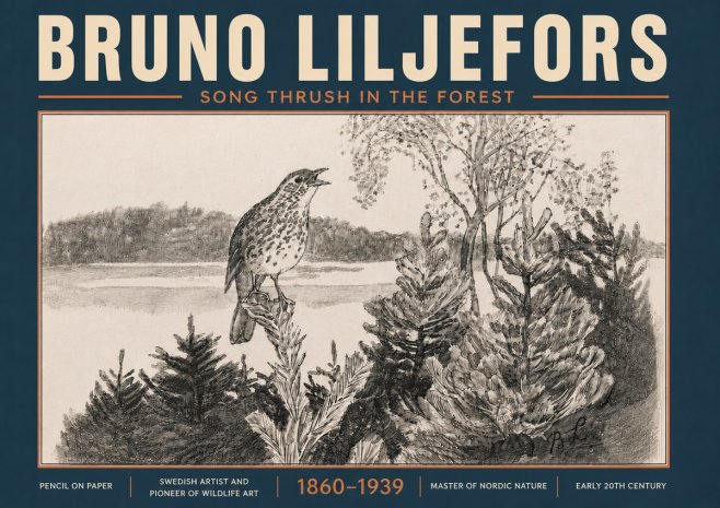 Bruno Liljefors Song Thrush in the Forest No6 - Poster