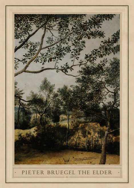 Pieter Bruegel Branch of a Pear Tree No1 - Poster