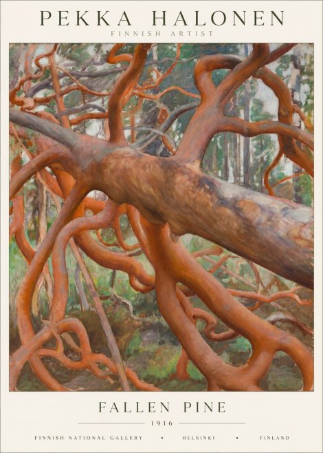 Pekka Halonen Fallen Pine No1 - Poster