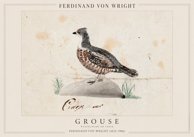 Ferdinand von Wright Grouse No1 - Poster