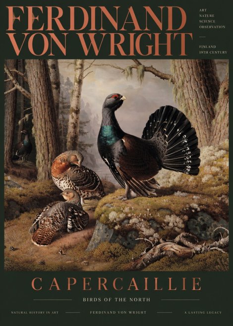 Ferdinand von Wright Wood Grouse in a Forest Landscape No6 - Poster