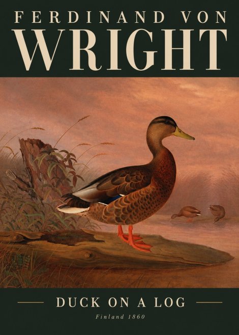Ferdinand von Wright Wild Duck No3 - Poster