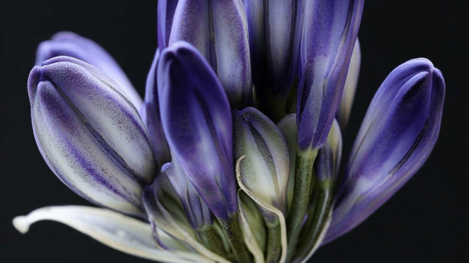 Fjord Reverberations