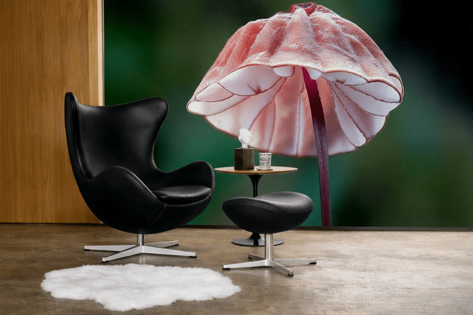 Veiled Mushroom Cap