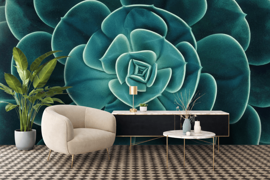 Succulent Echo