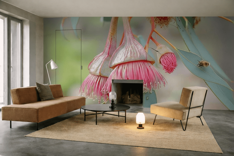 Eucalyptus Bloom