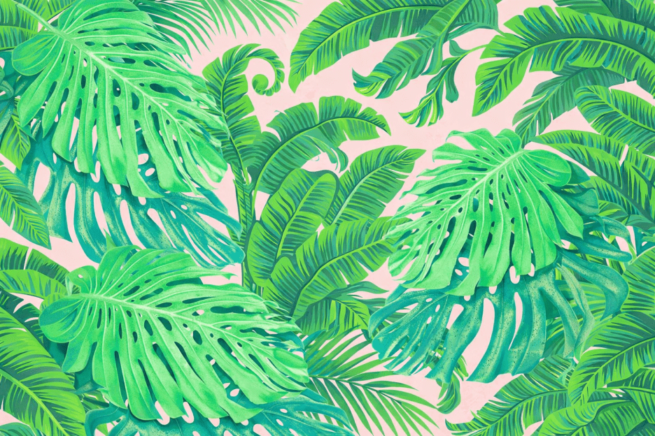Tropical Canopy