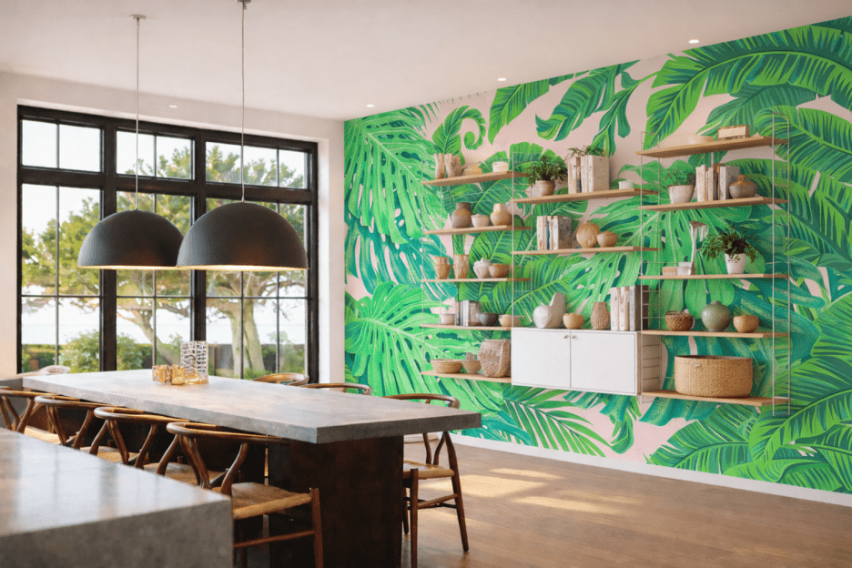 Tropical Canopy