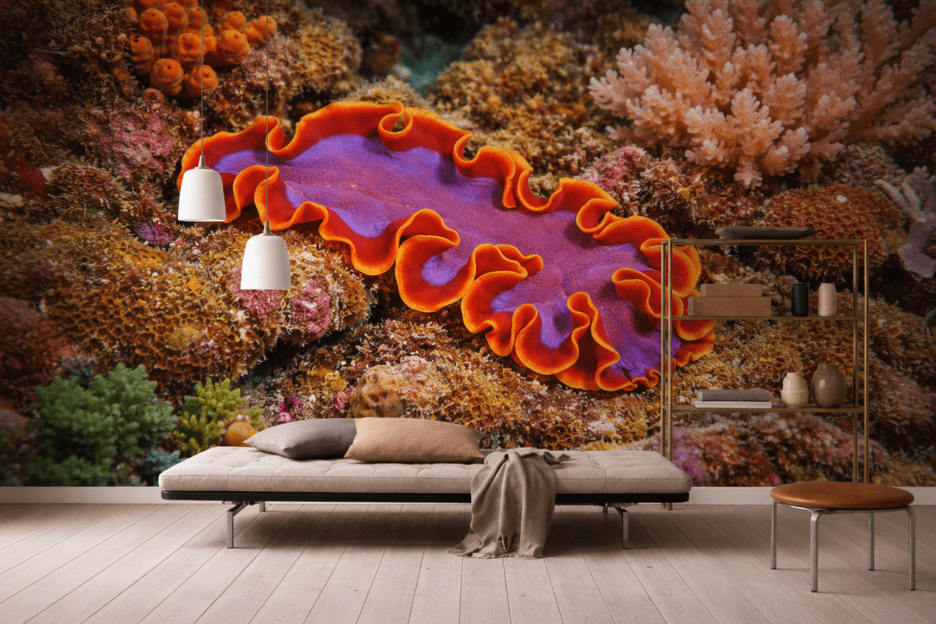 Orchid Manta