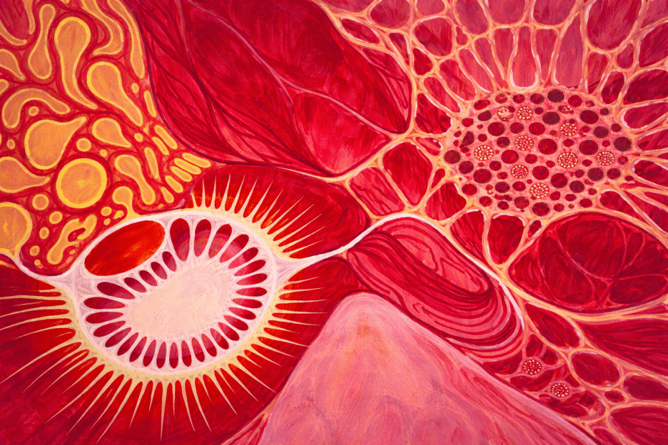 Radiant Formation