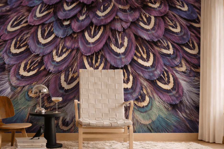 Ornamental Plumage