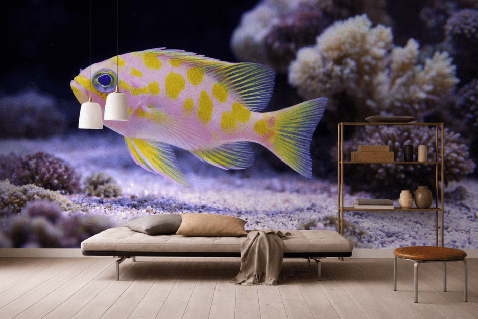 Sunlit Reef Echo