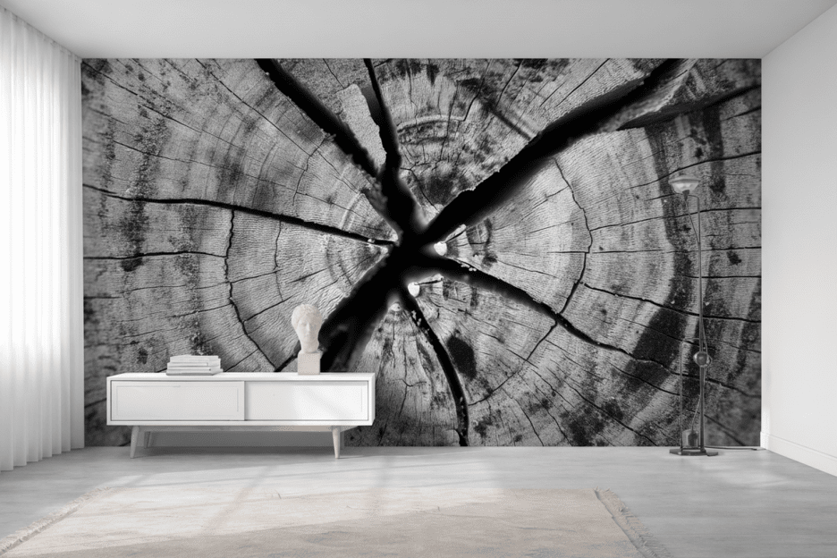 Tree Ring Symphony