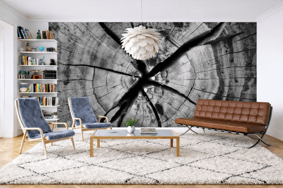 Tree Ring Symphony