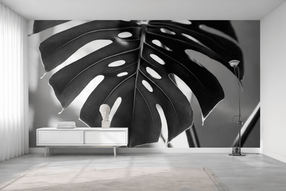 Monstera Shadow