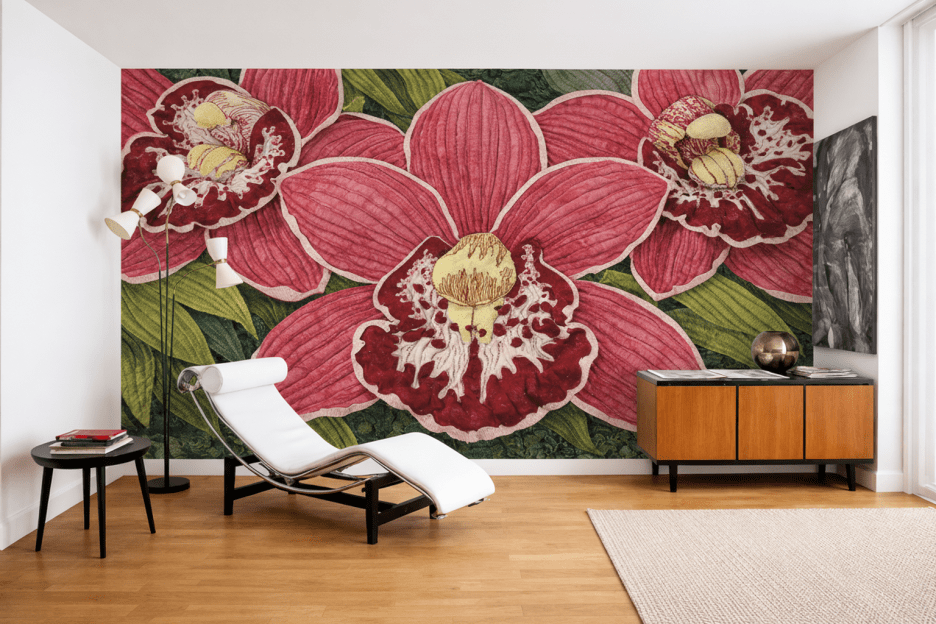 Velvet Orchid Blooms