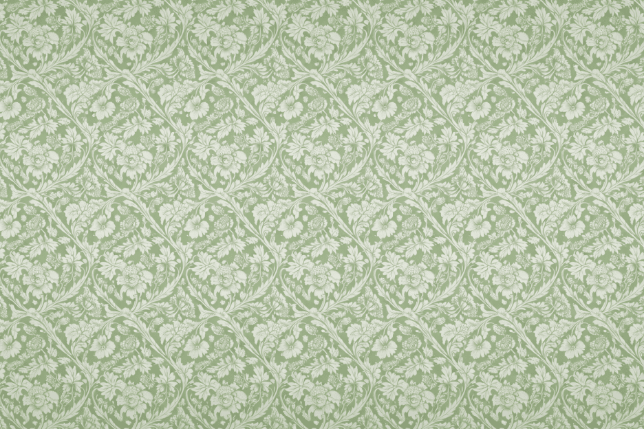 Glenview Reverie