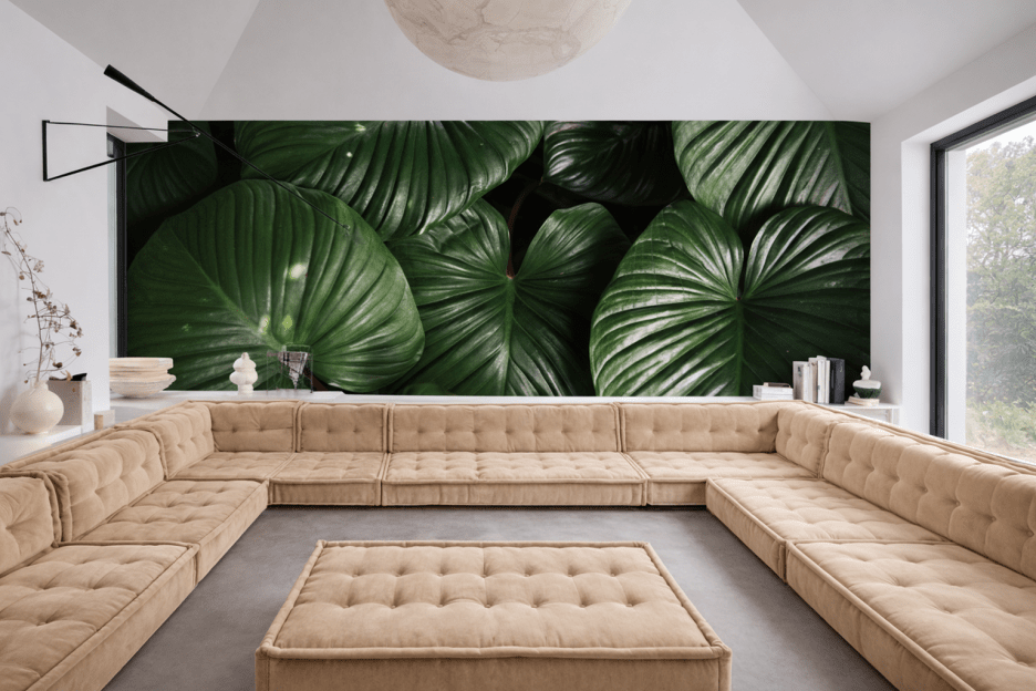 Foliage Undercurrent