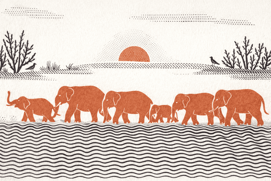Sunset Elephant Parade