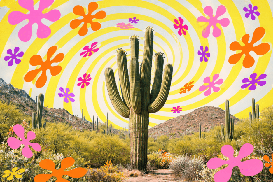 Saguaro Spiral